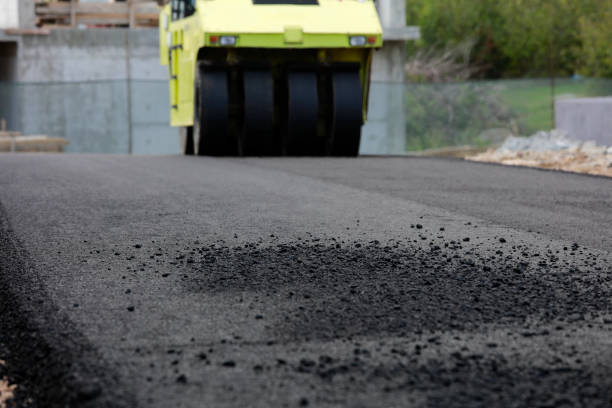Best Custom Driveway Pavers  in Brewster Heights, NY